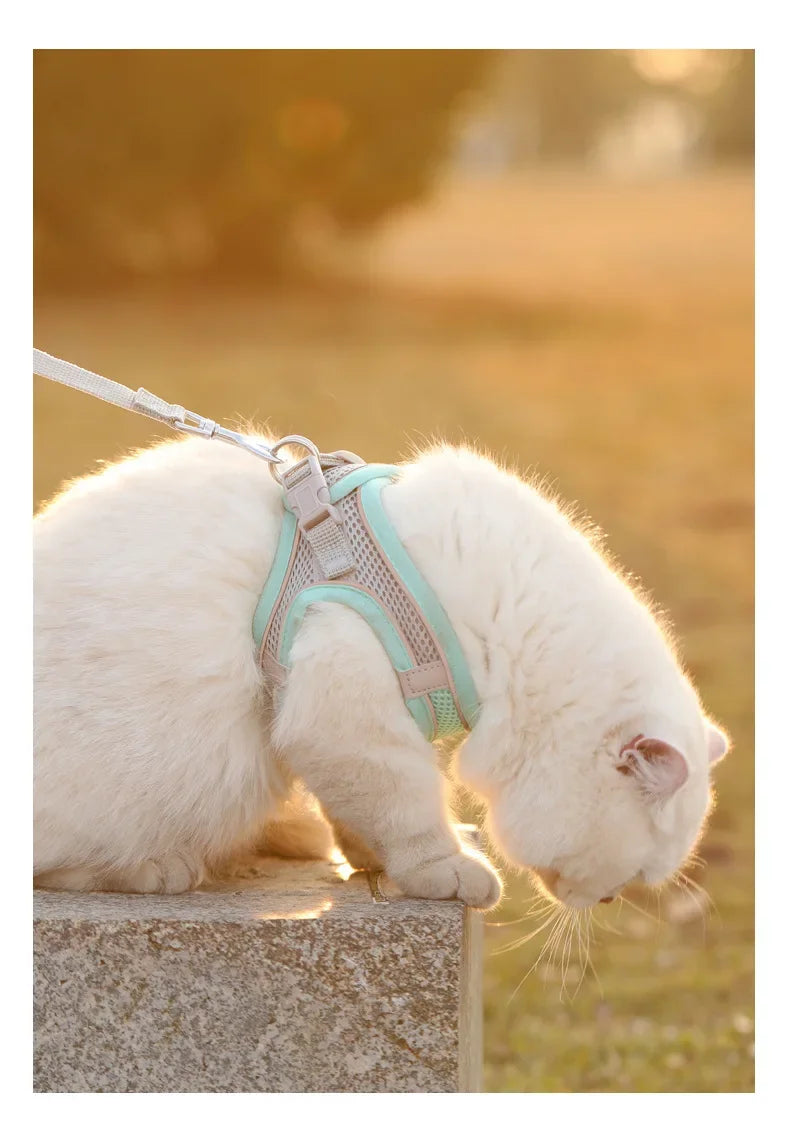 Breathable Adjustable Safety Harnesses for Cats & Dogs with Leash