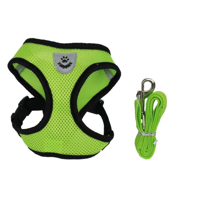SecureFit Safety Harness