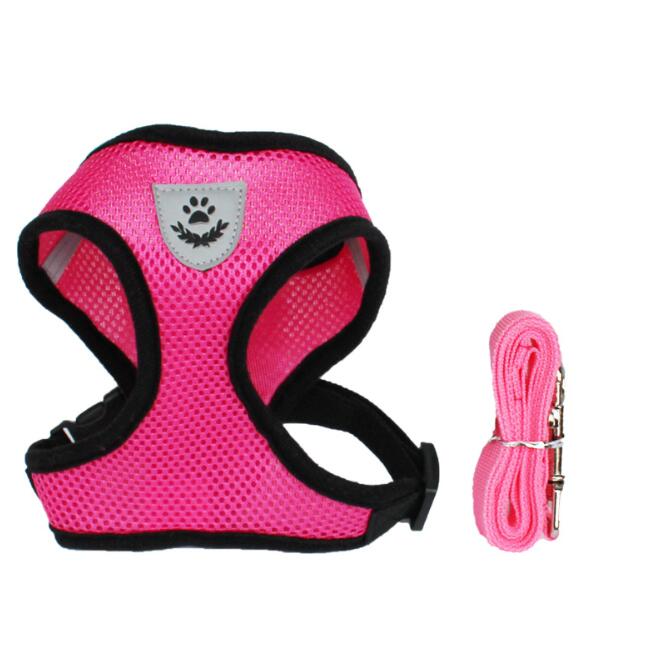 SecureFit Safety Harness