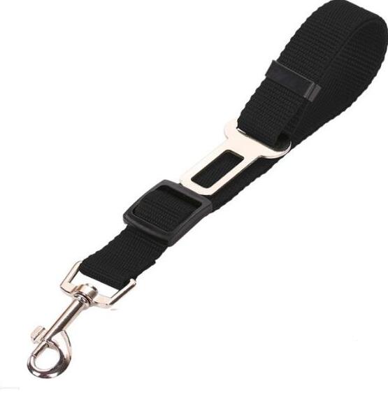 SecureFit Safety Harness
