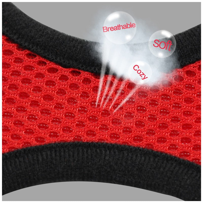 SecureFit Safety Harness