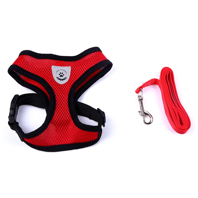 SecureFit Safety Harness