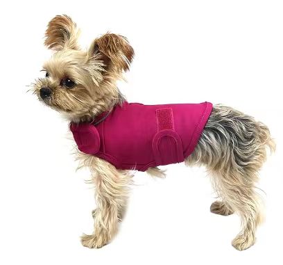 Paw Sanctum™ CalmShield Anxiety Vest
