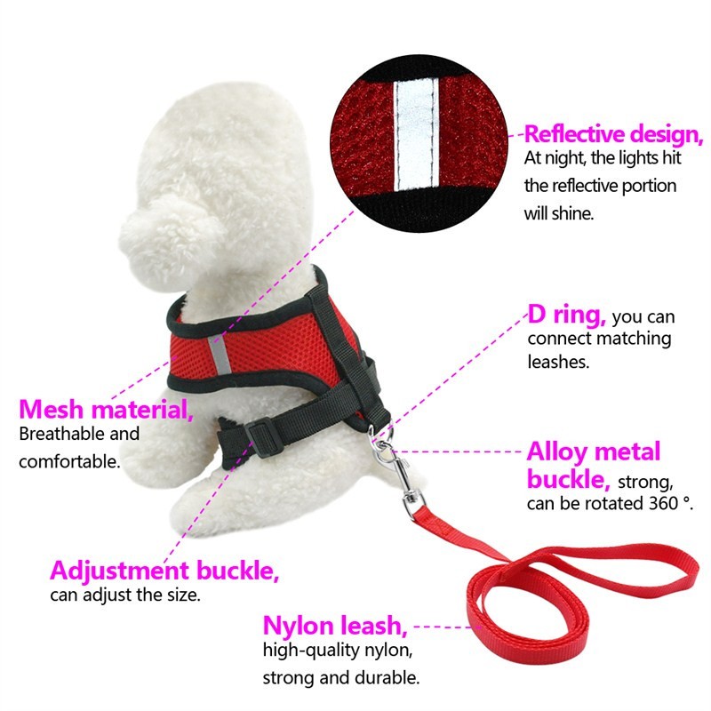 SecureFit Safety Harness