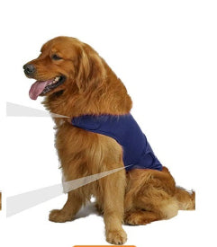 Paw Sanctum™ CalmShield Anxiety Vest