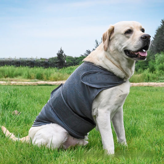 Paw Sanctum™ CalmShield Anxiety Vest