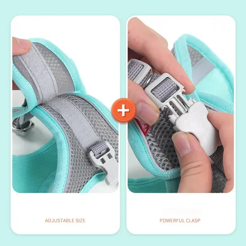 Breathable Adjustable Safety Harnesses for Cats & Dogs with Leash