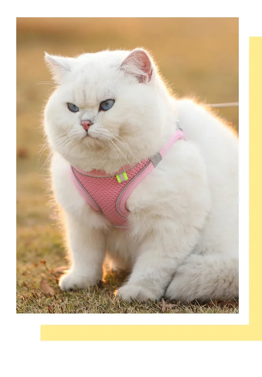 Breathable Adjustable Safety Harnesses for Cats & Dogs with Leash