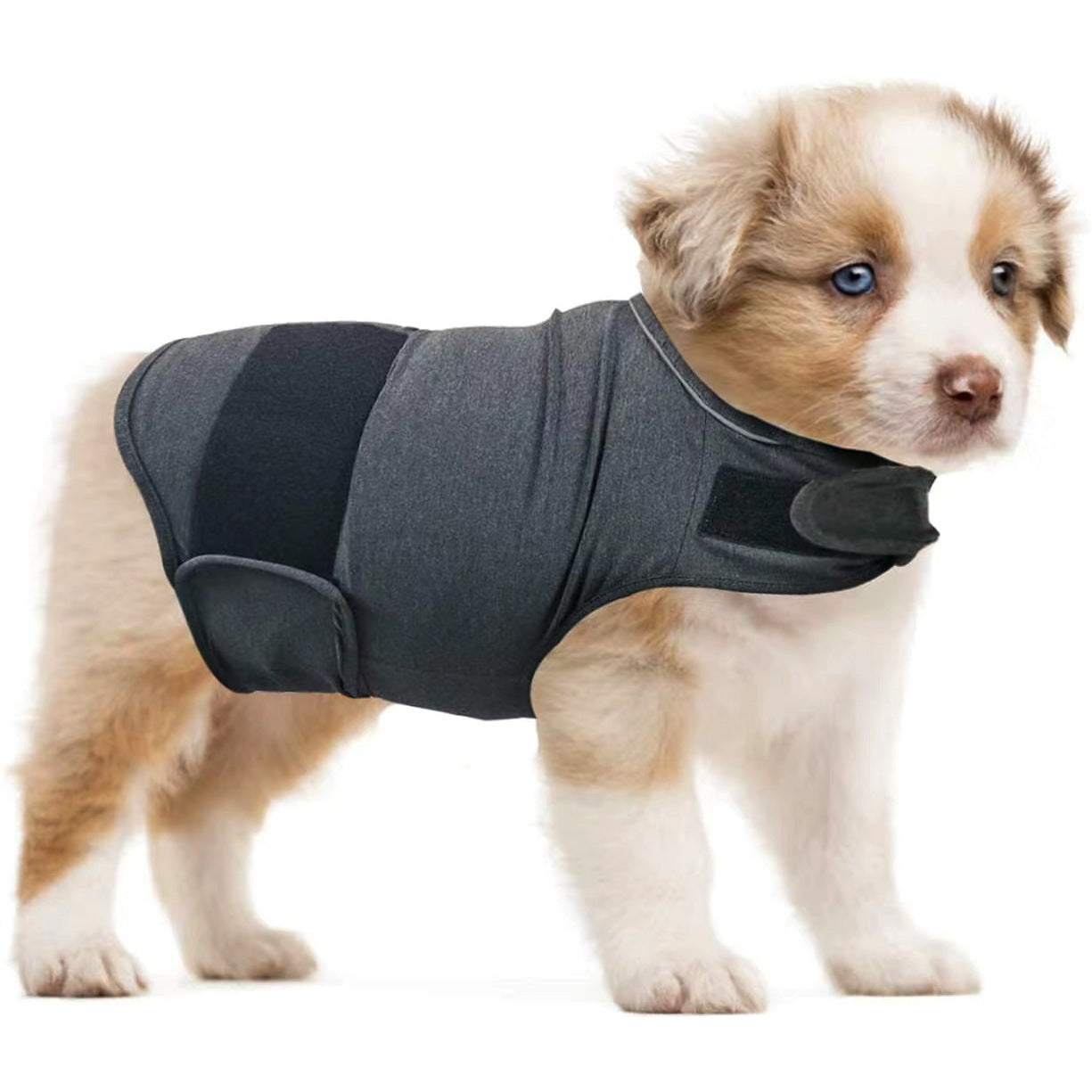 Paw Sanctum™ CalmShield Anxiety Vest